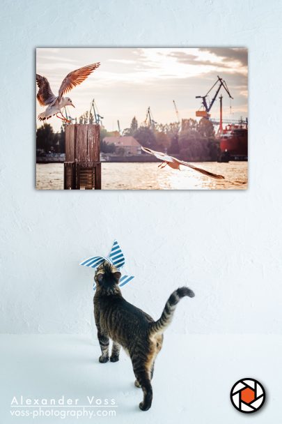St. Pauli Piers Hamburg. A beautiful canvas print for your home.