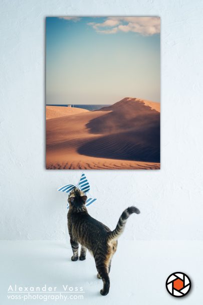 The Dunas de Maspalomas as a canvas print will bring a smile to your face every day.