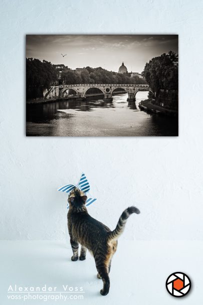 Ponte Sisto Rom als Leinwandbild für Ihr Zuhause.