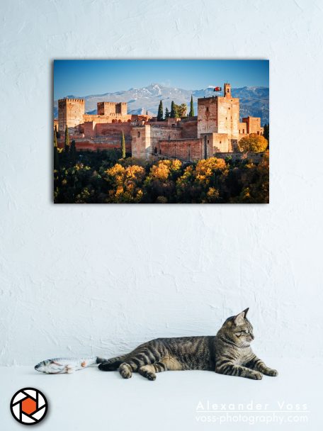 Die Alhambra von Granada als Leinwandbild für Ihr Zuhause.