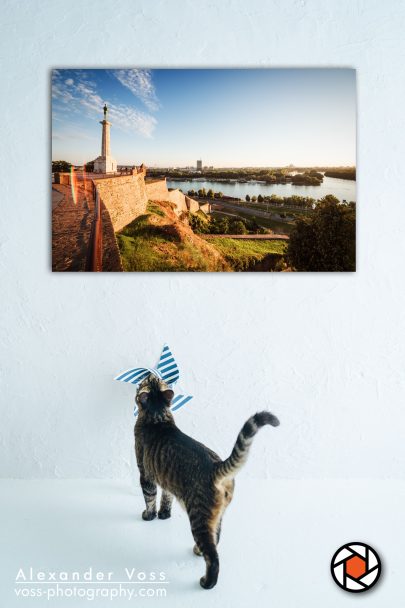 Kalemegdan Belgrade as a canvas picture for your home.