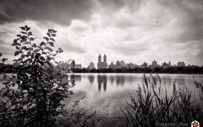 Central Park – New York (Black and White)