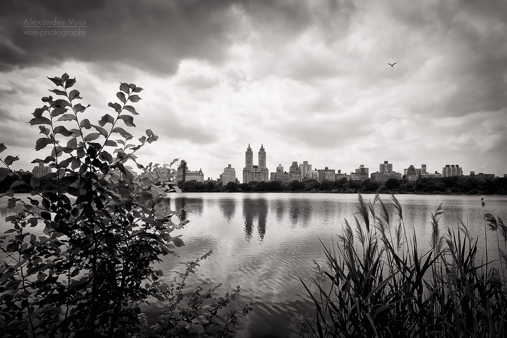 Schwarzweiss-Fotografie: New York – Central Park
