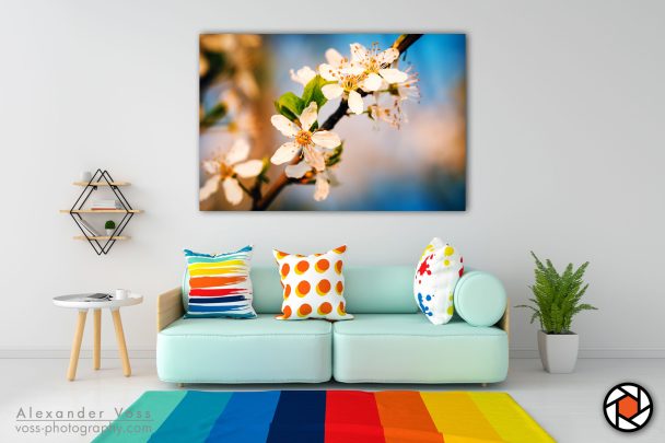 Apple Blossoms and spring: This canvas picture will put a smile on your face every day.