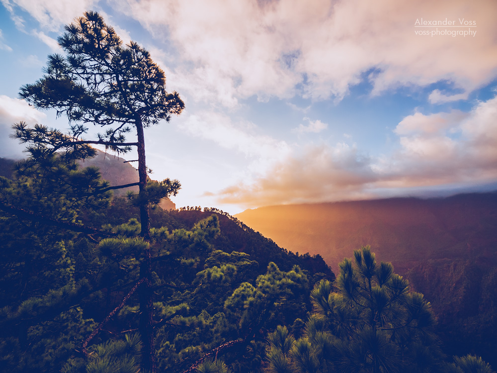 La Palma – Caldera de Taburiente